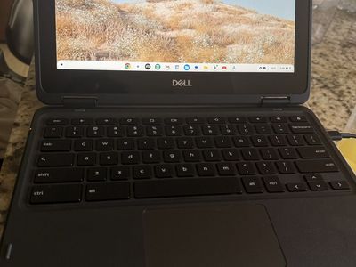 Dell Chromebook 3100 2in1