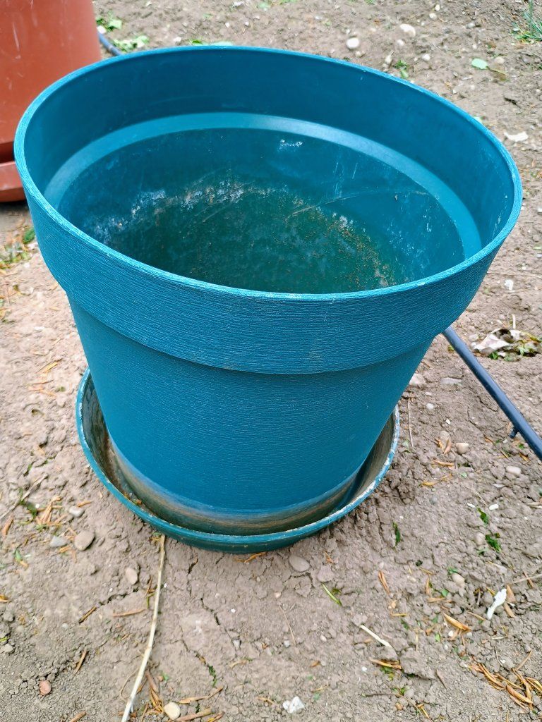 Plastic plant pot w/ saucer. 15" x 15". green