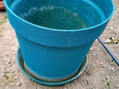 Plastic plant pot w/ saucer. 15" x 15". green