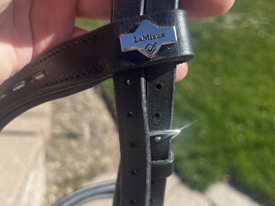 Lemiuex Dressage Bridle