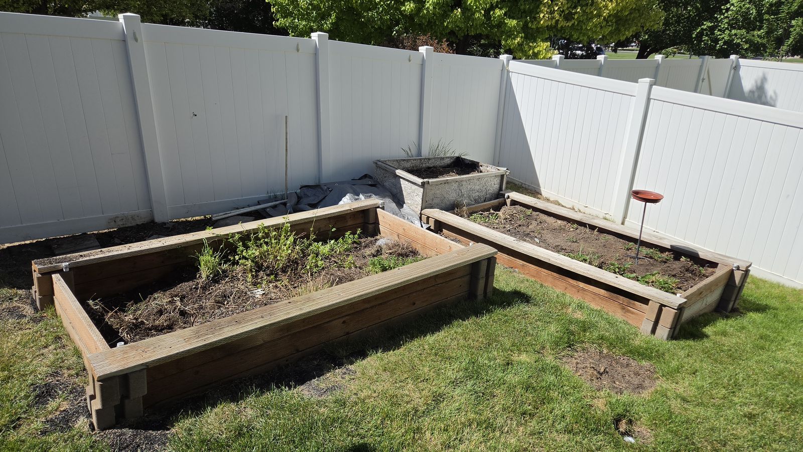 Free two 3' x 6' Wood planters with top soil