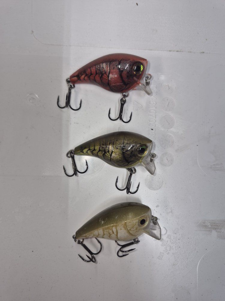 rapala fishing lures