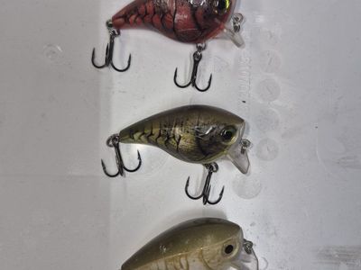 rapala fishing lures