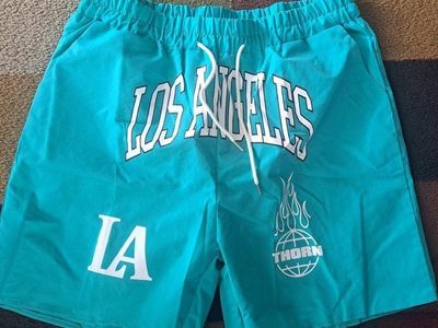 Brand new mens swim trunks