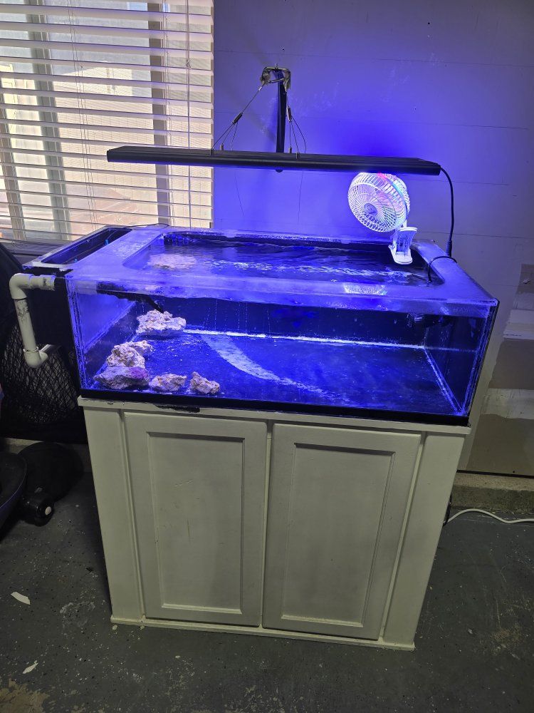 40 gallon frag tank complete setup