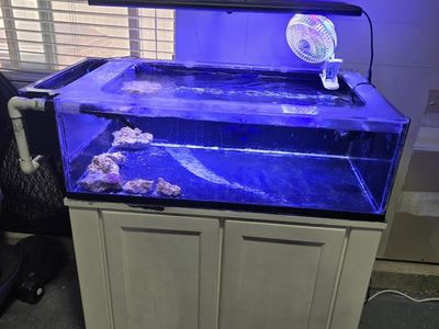 40 gallon frag tank complete setup