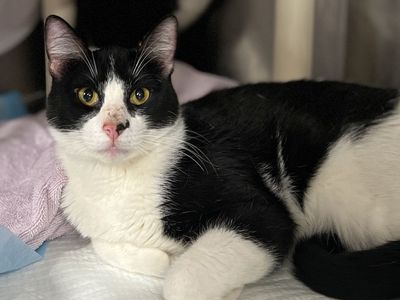 Hello my name is CR34 1 (pink nose)