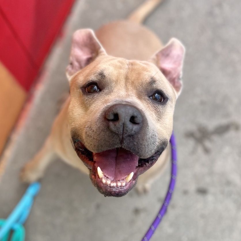 Hello my name is McLovin