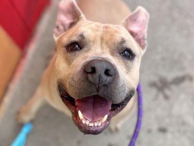 Hello my name is McLovin