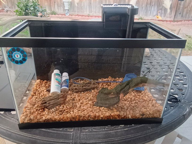10 gallons fish tank