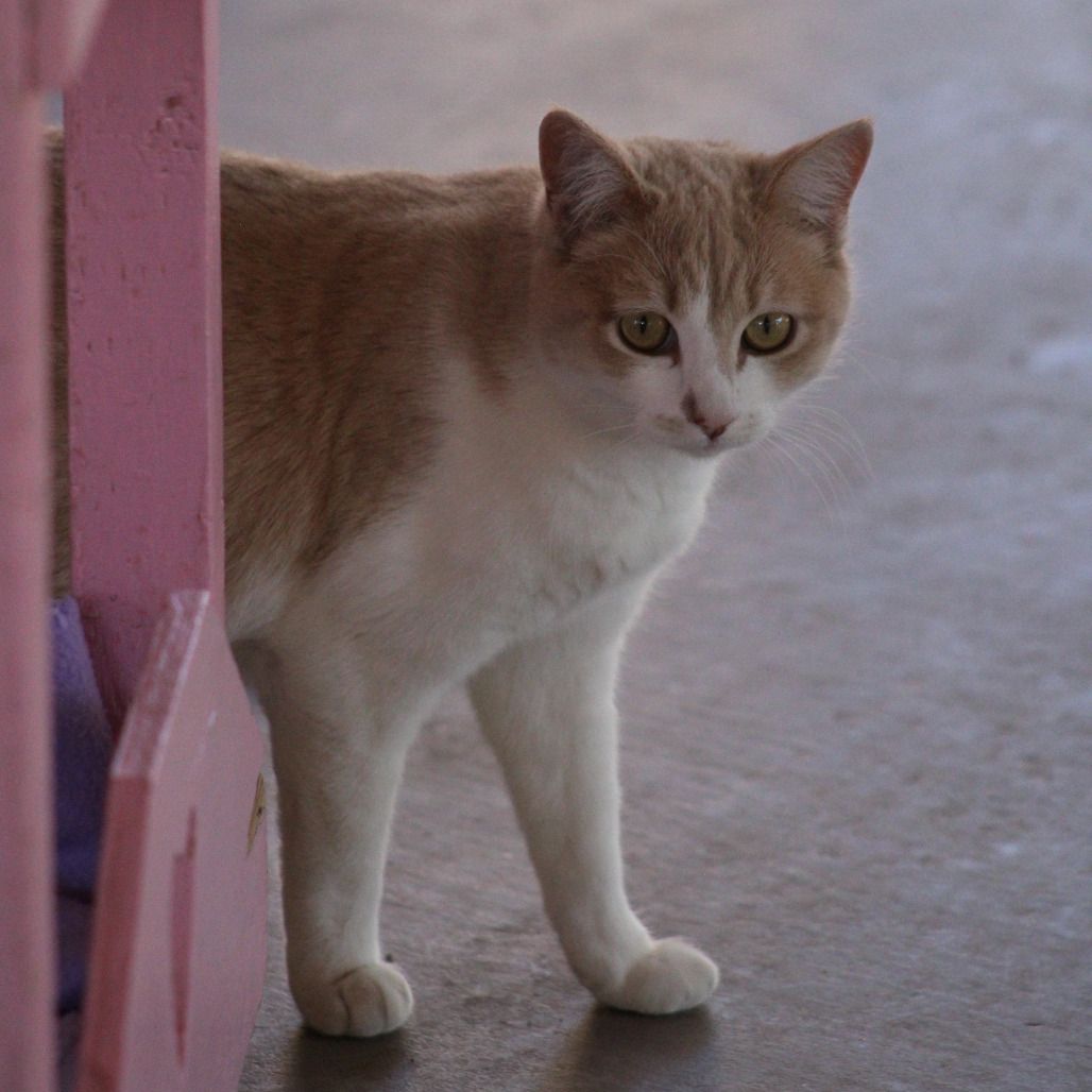 Hello my name is Kala