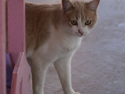 Hello my name is Kala