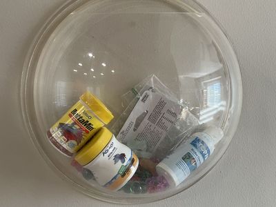 Fish bowl for betta fish