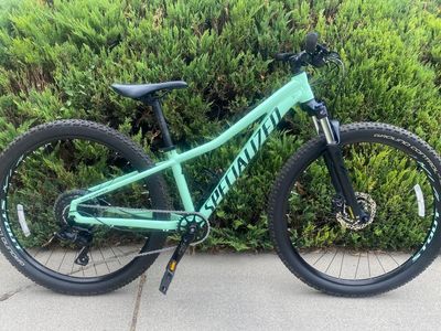 Specialized Rockhopper Comp Mountain Bike