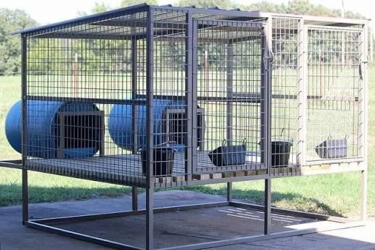 Custom Welded Metal Dog Kennels - Durable & Tailored Pet Enclosures