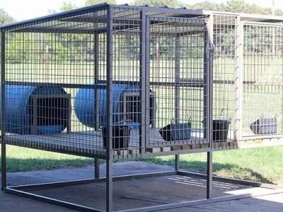 Custom Welded Metal Dog Kennels - Durable & Tailored Pet Enclosures