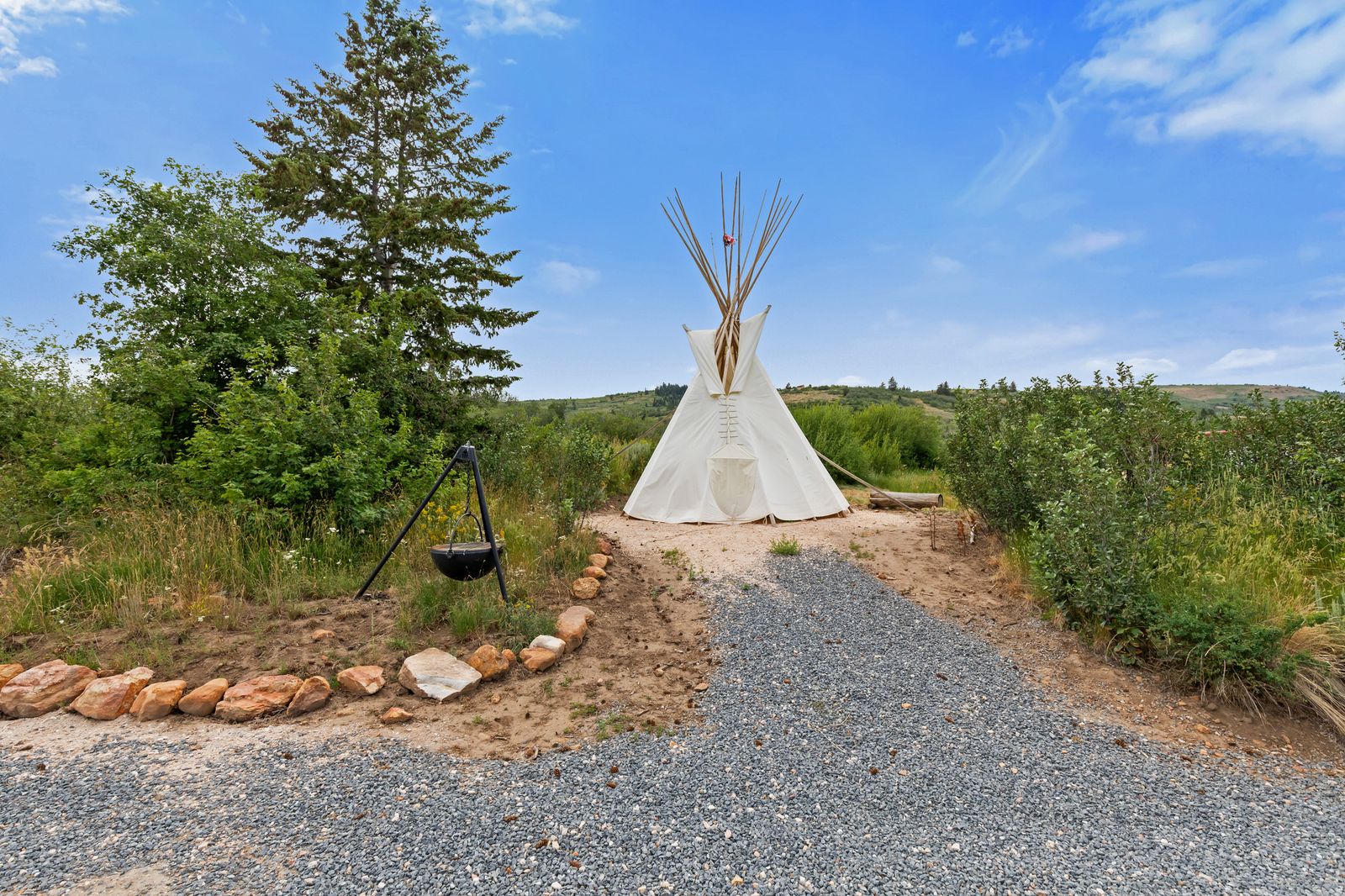 Main image 14
