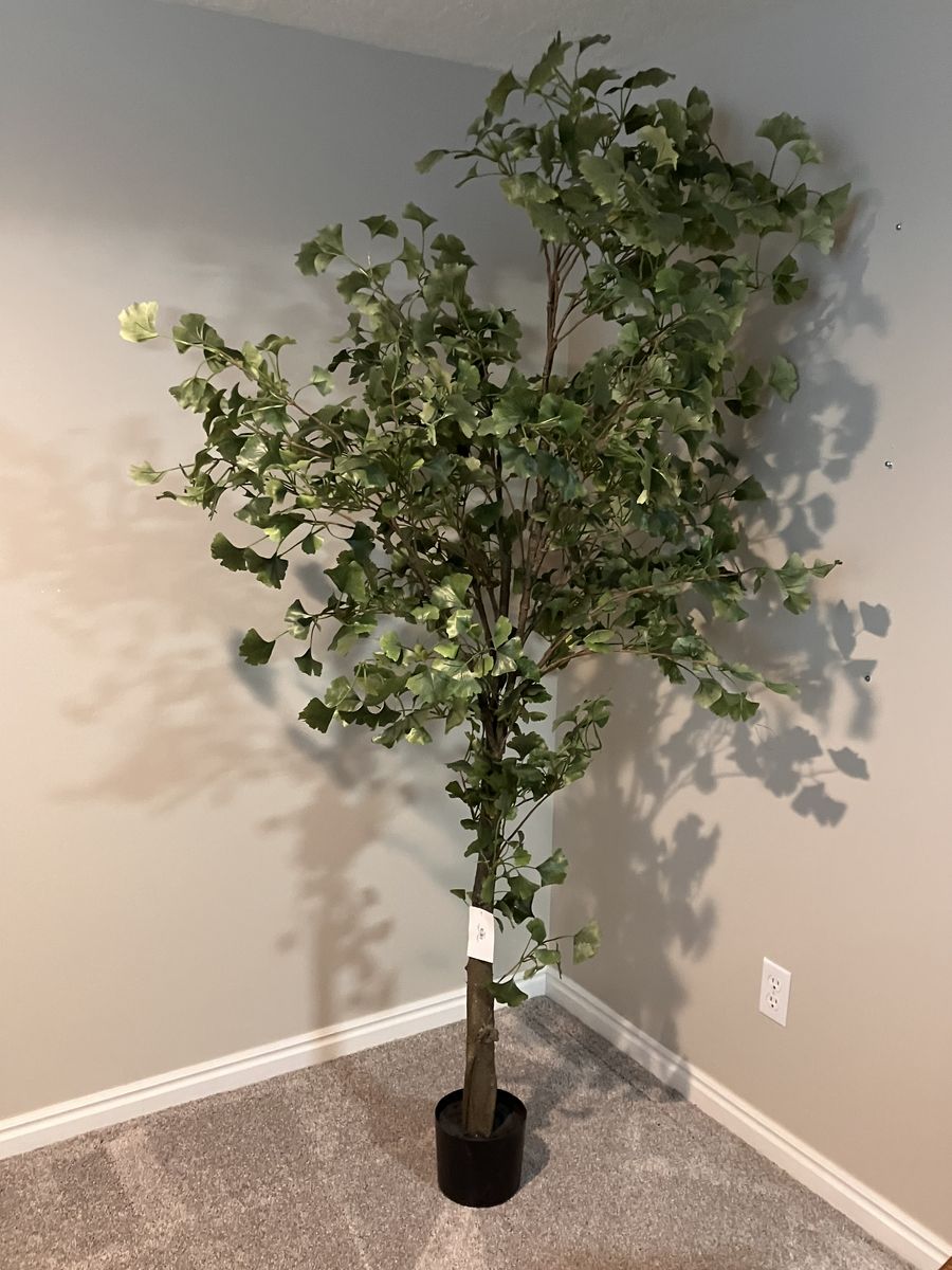 Downeast 6' Artificial Gingko Tree in Green - Faux Foliage Plant