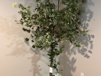 Downeast 6' Artificial Gingko Tree in Green - Faux Foliage Plant