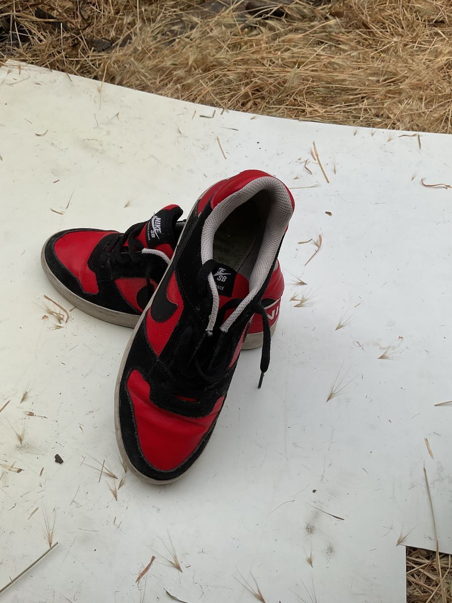 Nike Delta Force SB Low tops