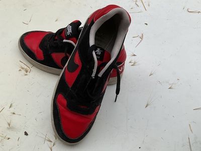 Nike Delta Force SB Low tops