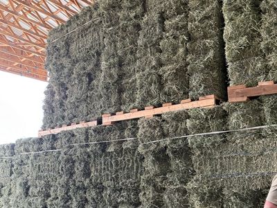 Premium 2 String Alfalfa Hay