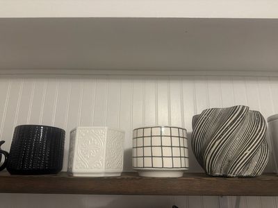 Brand new never used plant vases
