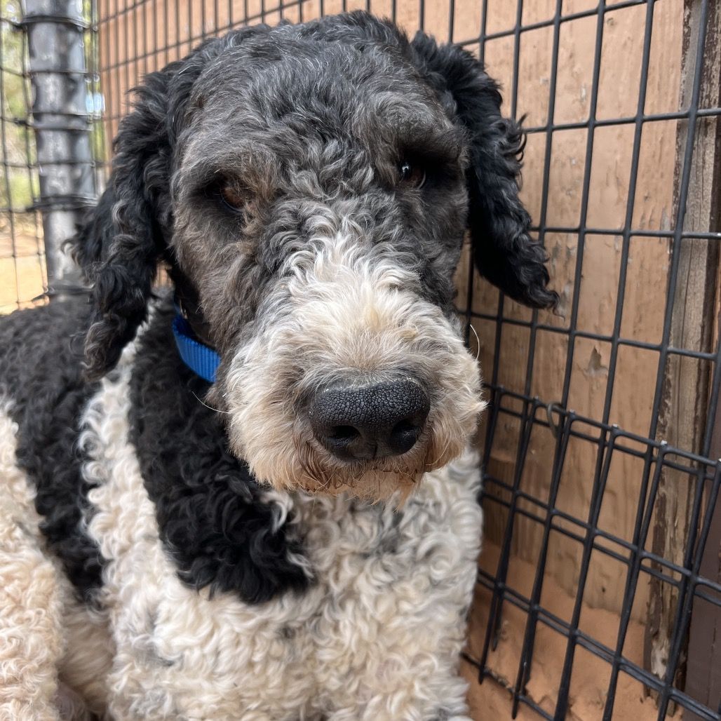 Hello my name is Marcel