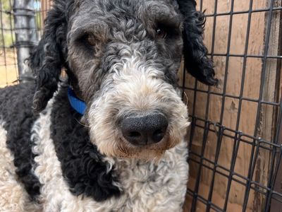 Hello my name is Marcel