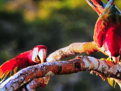 samsung qn900b 8K 85-inch