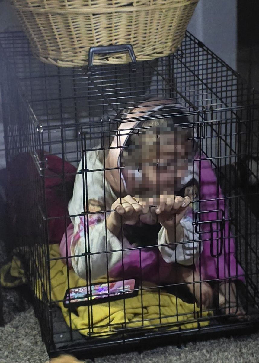 Metal Wire Pet Crate / Cage