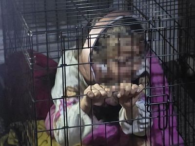 Metal Wire Pet Crate / Cage