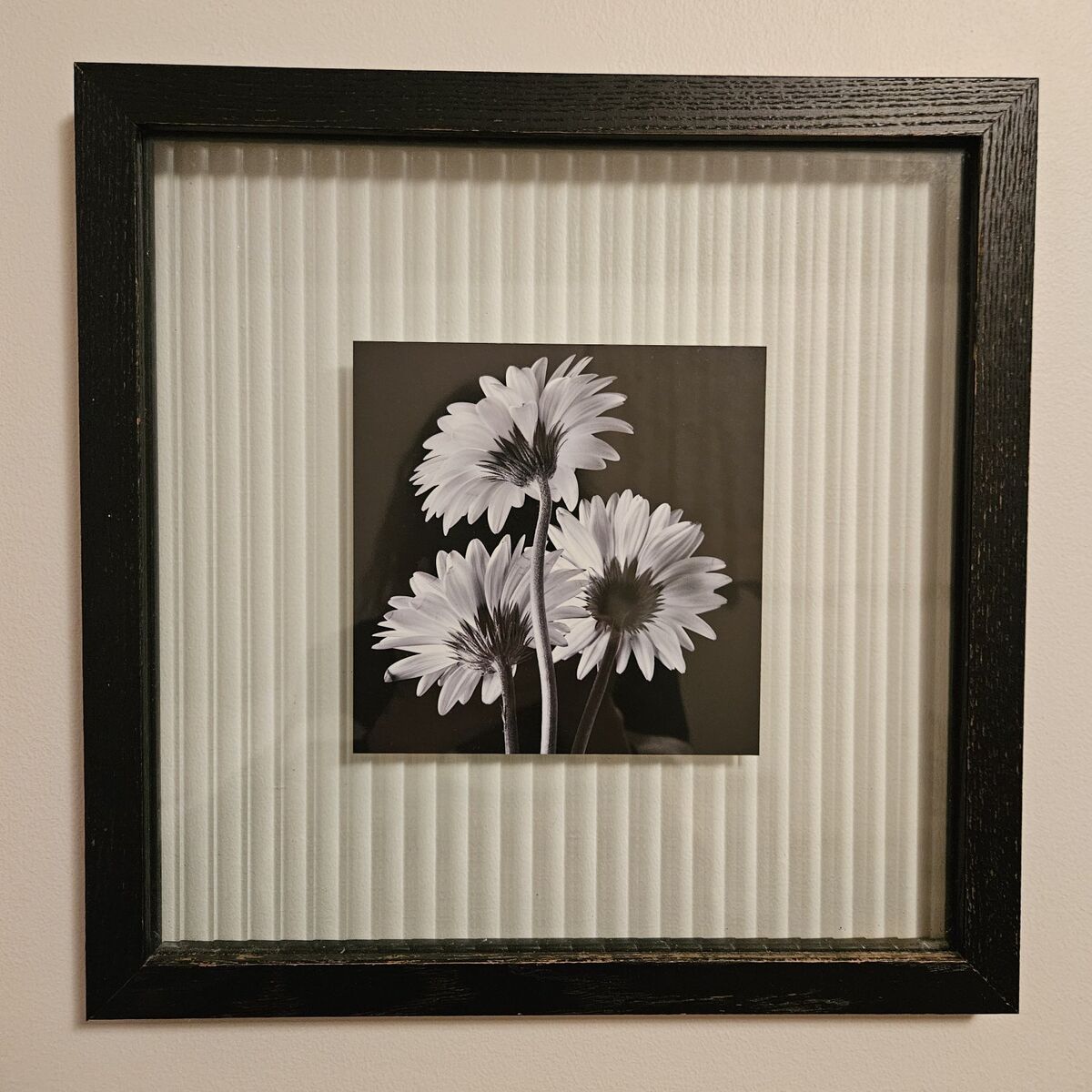 Black frame, clear glass matt, daisies