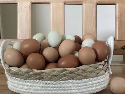Farm Fresh Chicken Eggs For Sale