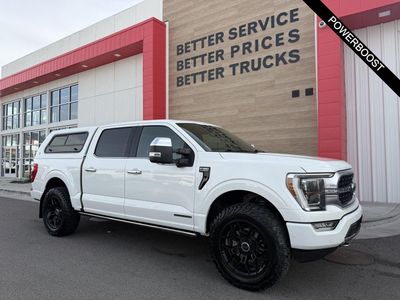 2021 Ford F-150 Platinum