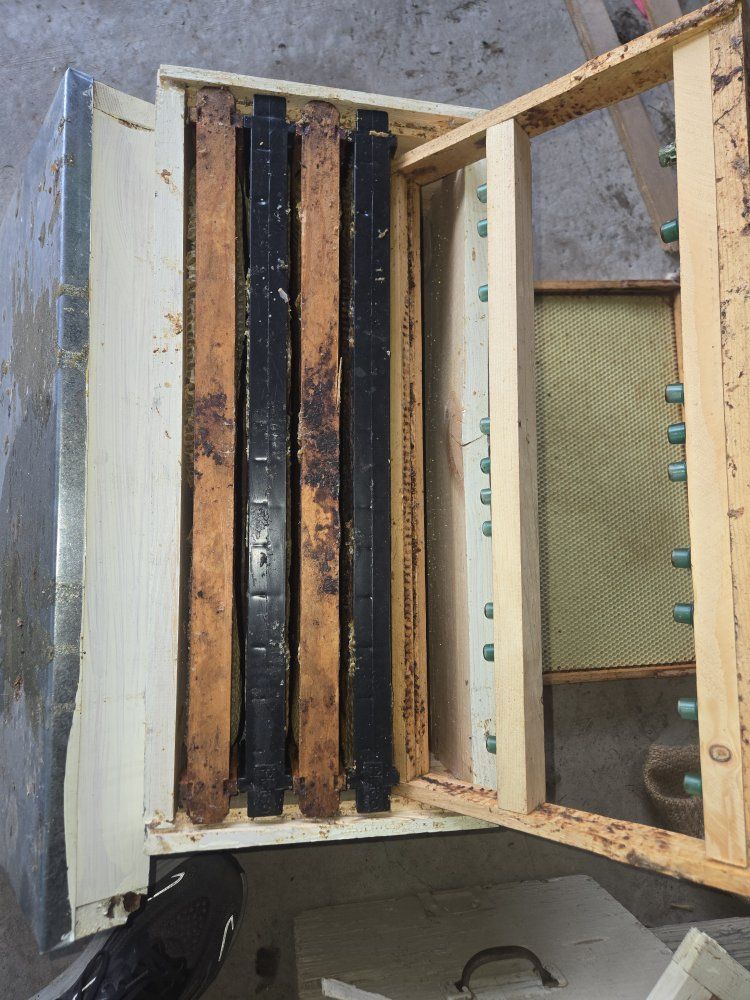 Main image 15