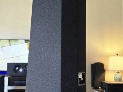 10" DCM TimeFrame V10.0 Rare Floorstanding Speakers