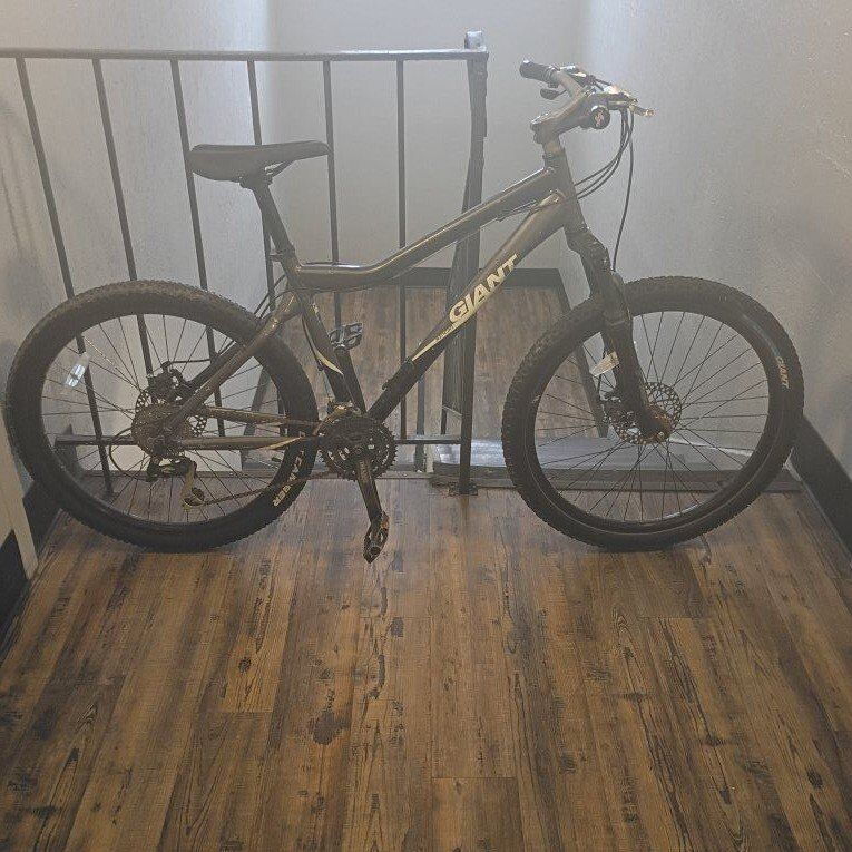 Giant mountain bike