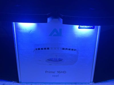 Single AI Prime 16HD