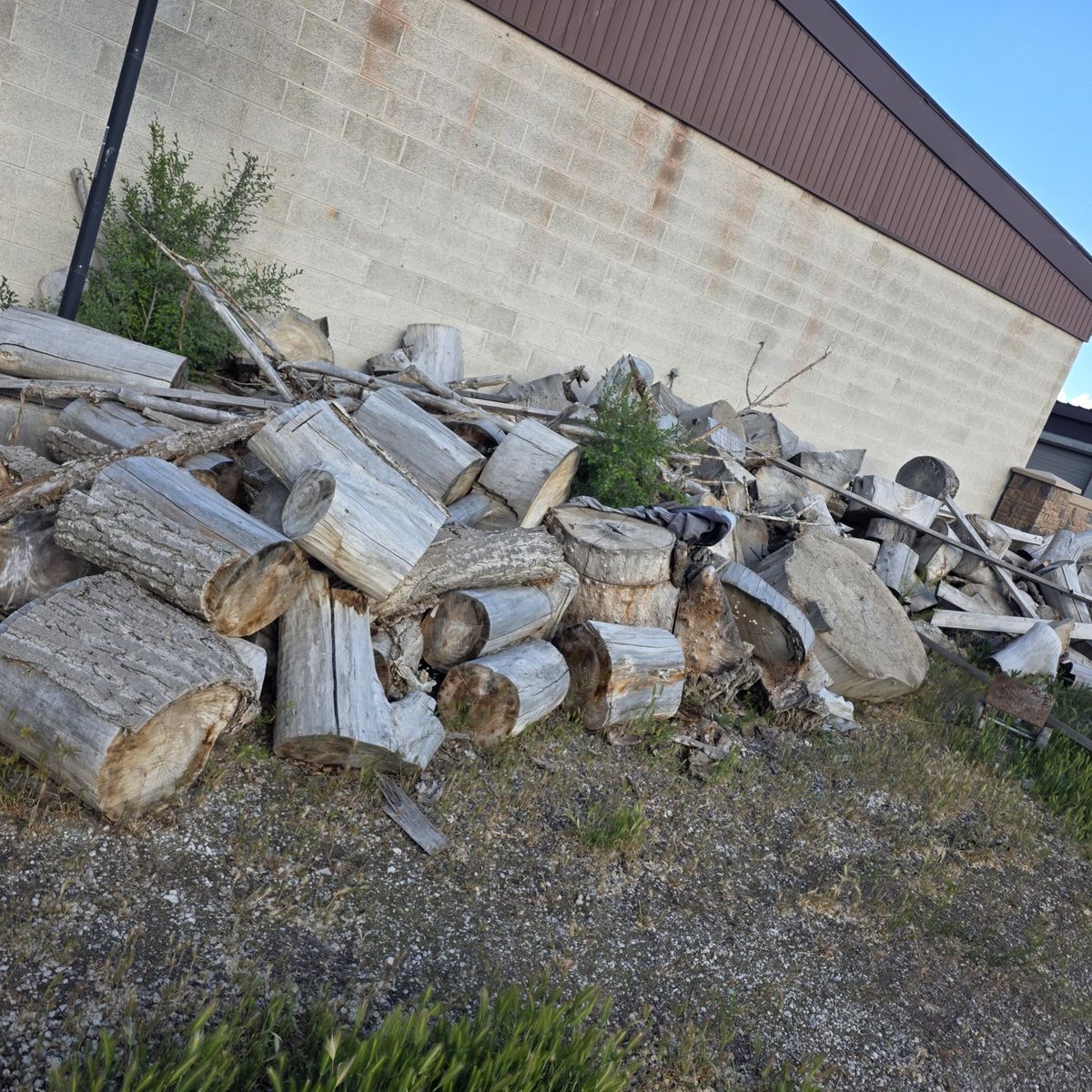 Firewood