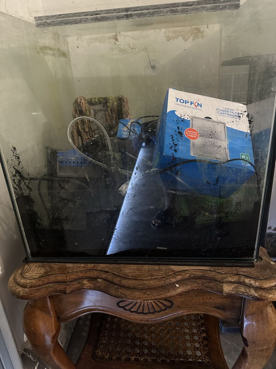 32 gallon frameless fish tank and stand