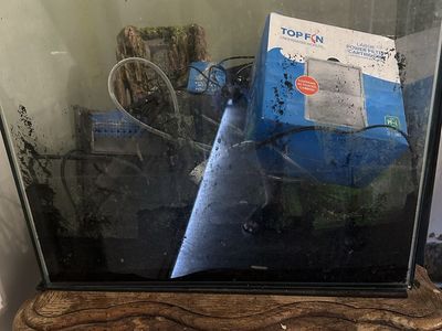 32 gallon frameless fish tank and stand