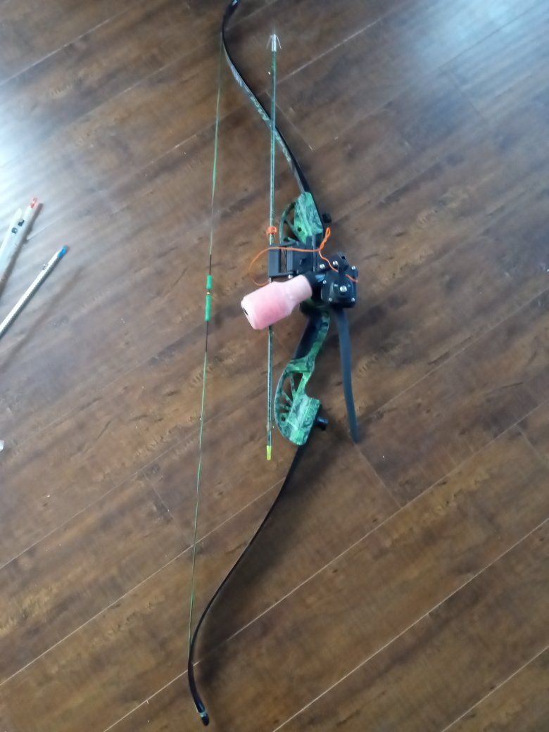 Bow fishing setup
