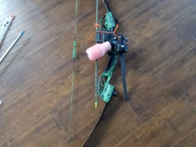 Bow fishing setup