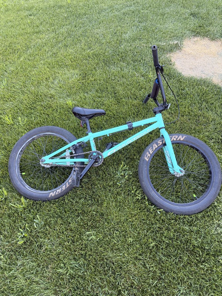 Eastern BMX Bike - Teal/Aqua