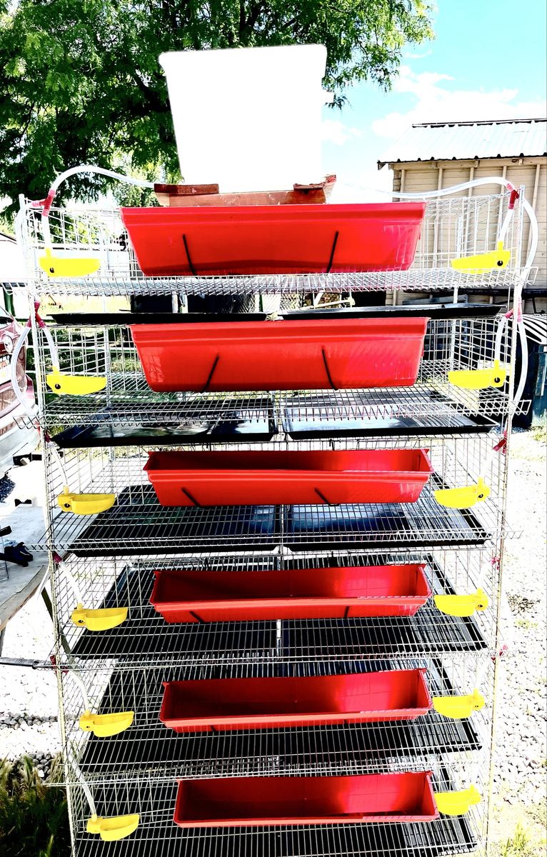 6 tier Quail Cages