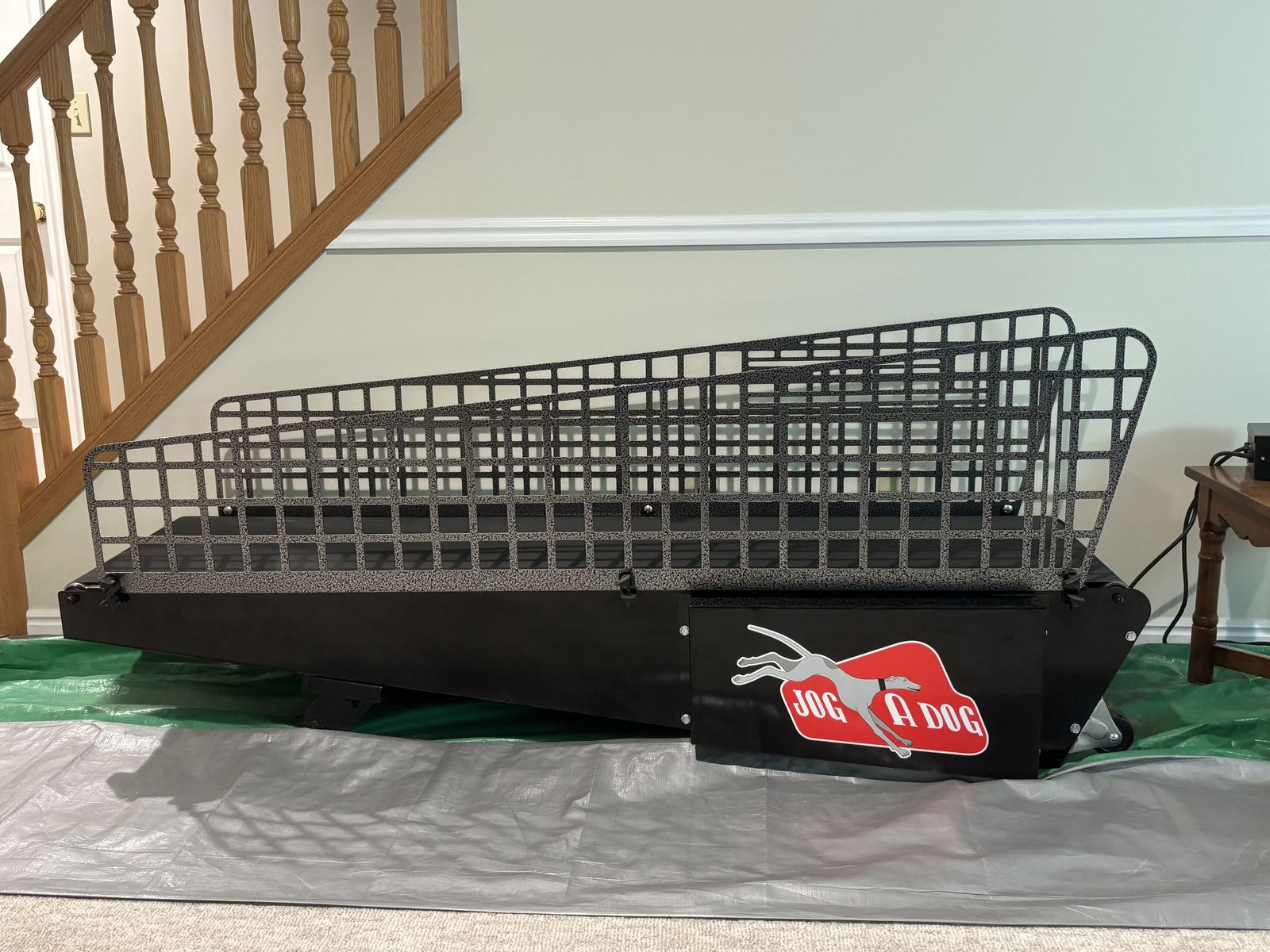 Dog Treadmill