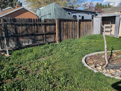 Grass rip out and landscaper needed