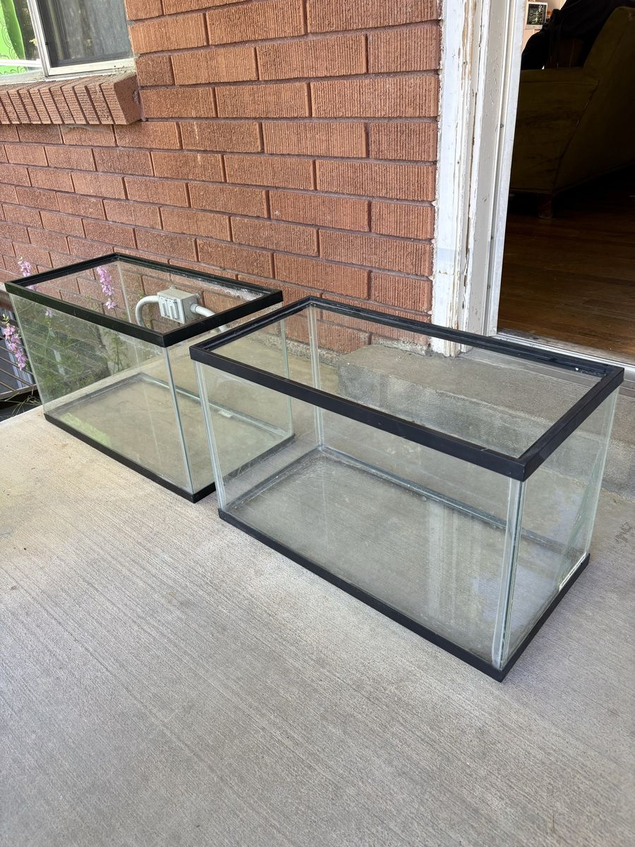 10 gallon aquariums