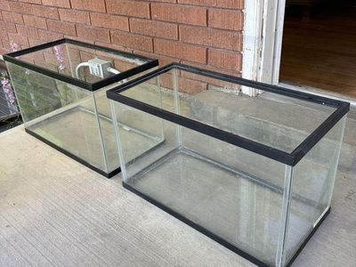 10 gallon aquariums